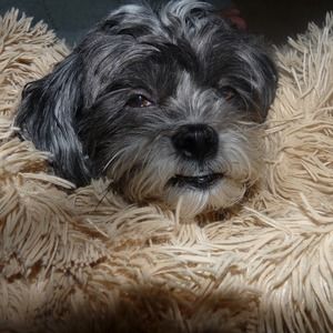 Meet your Posher, Lorraine